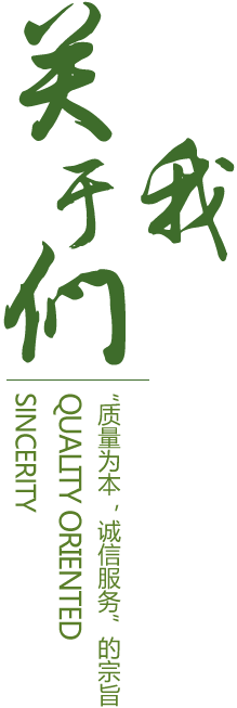 买球科技有限公司企业图标